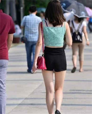 taylor wane磁力链