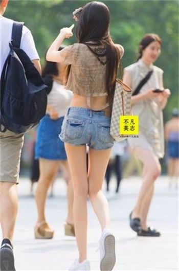 小狼狗by一只白糖兔子