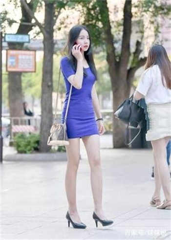 猫咪vip共享贴吧